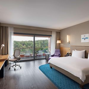 Kamer "Premium" met een King Size Bed
